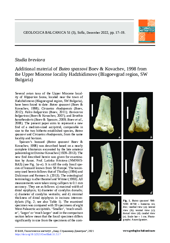(PDF) Additional material of Buteo spassovi Boev & Kovachev, 1998 from ...