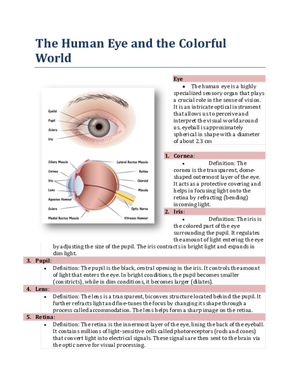 (PDF) The Human Eye and the Colorful World