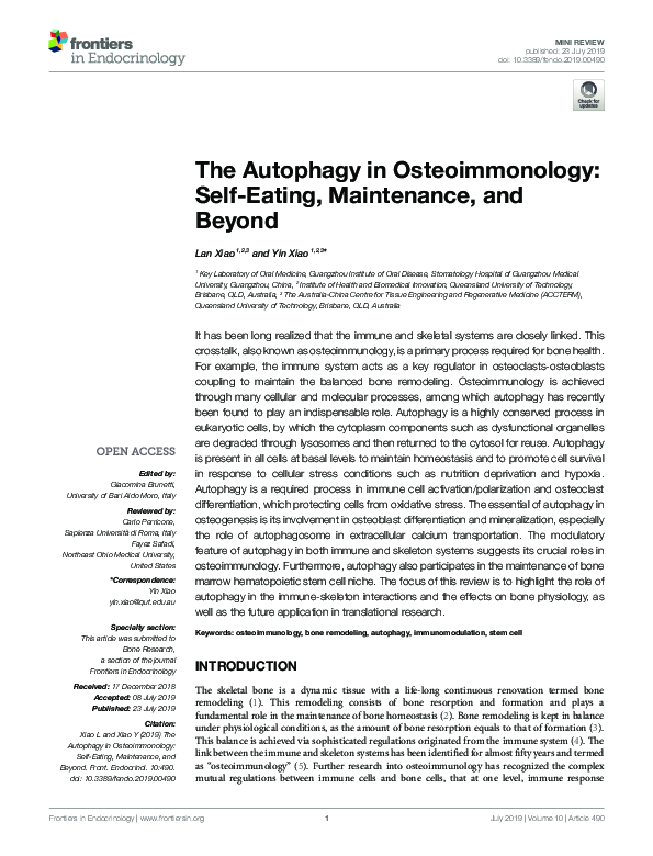 (PDF) The Autophagy in Osteoimmonology: Self-Eating, Maintenance, and ...