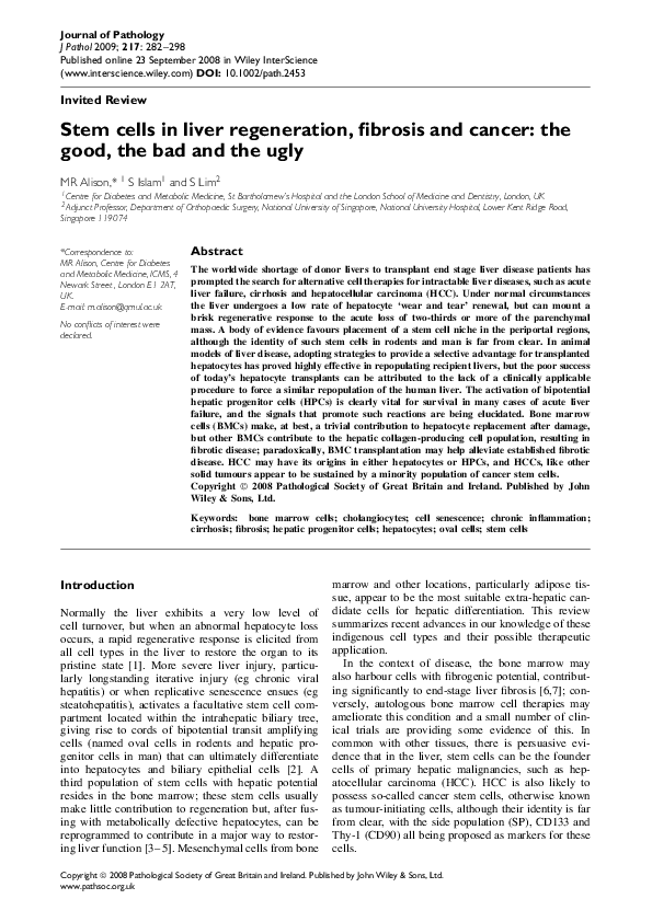 (PDF) Stem cells in liver regeneration, fibrosis and cancer: the good ...