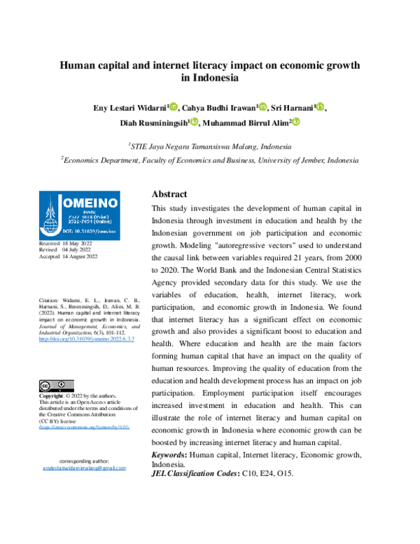 (PDF) Human capital and internet literacy impact on economic growth in ...