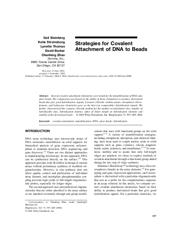 (PDF) Strategies for covalent attachment of DNA to beads