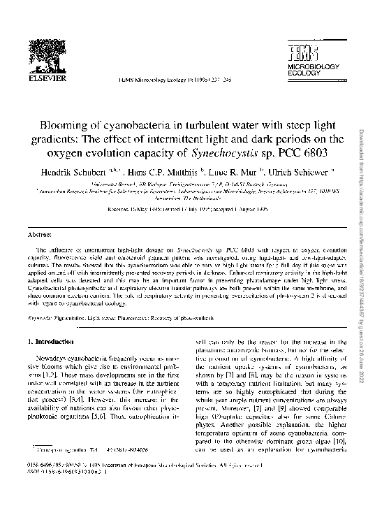 (PDF) Blooming of cyanobacteria in turbulent water with steep light ...