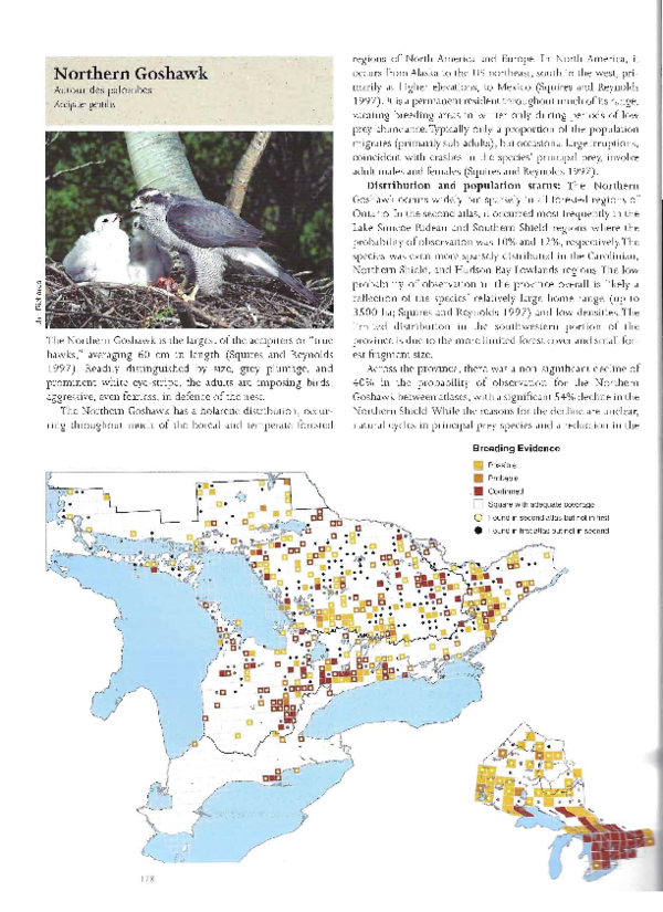 (PDF) Northern Goshawk