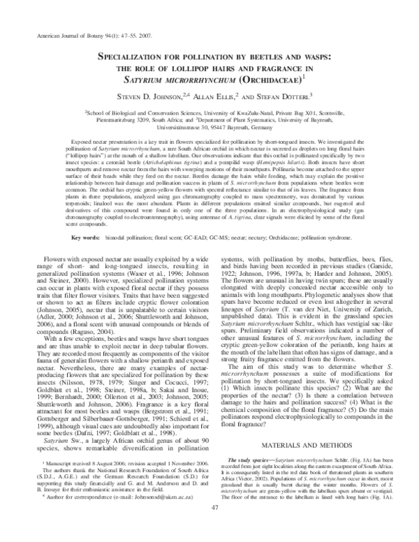 (PDF) Specialization for pollination by beetles and wasps: the role of ...