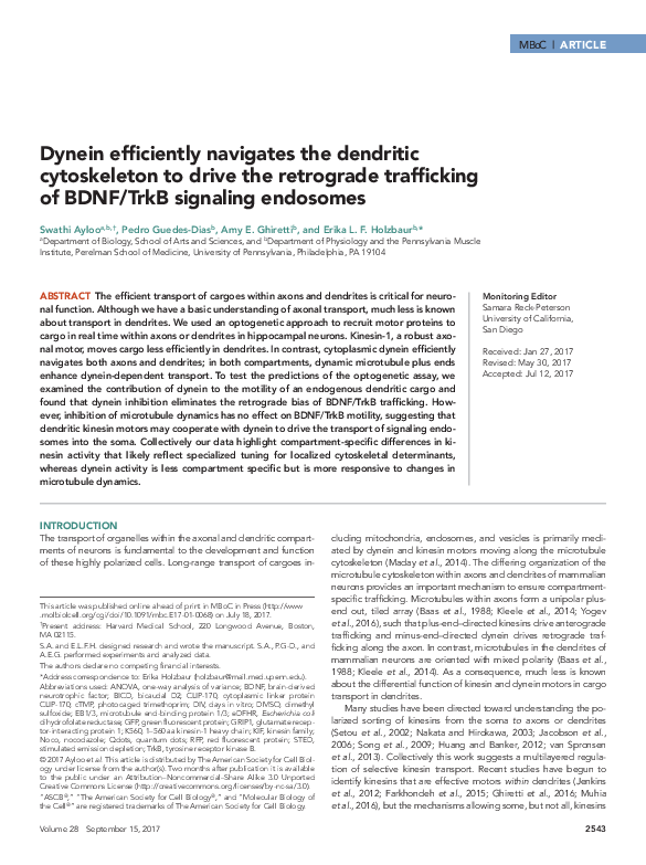 (PDF) Faculty of 1000 evaluation for Dynein efficiently navigates the ...
