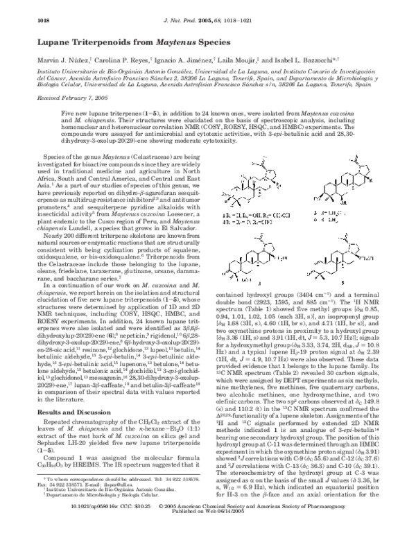 (PDF) Lupane Triterpenoids from Maytenus Species