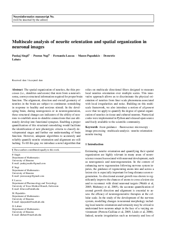 (PDF) Multiscale Analysis of Neurite Orientation and Spatial ...