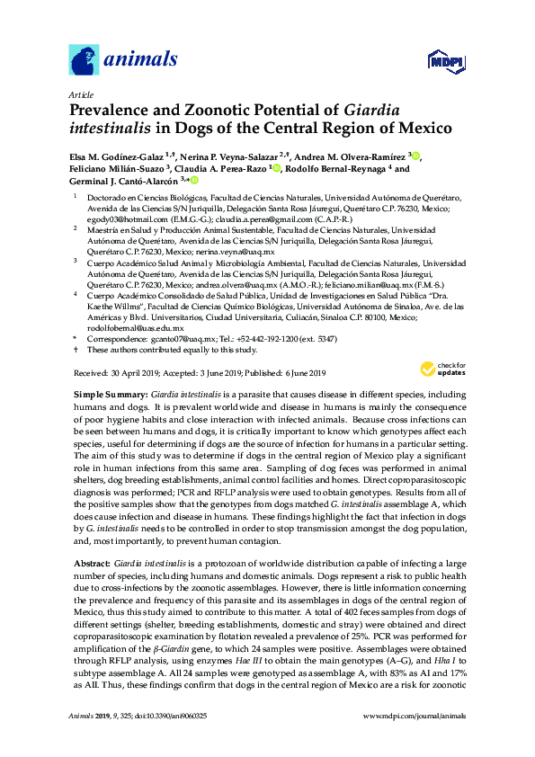 (PDF) Prevalence and Zoonotic Potential of Giardia intestinalis in Dogs ...