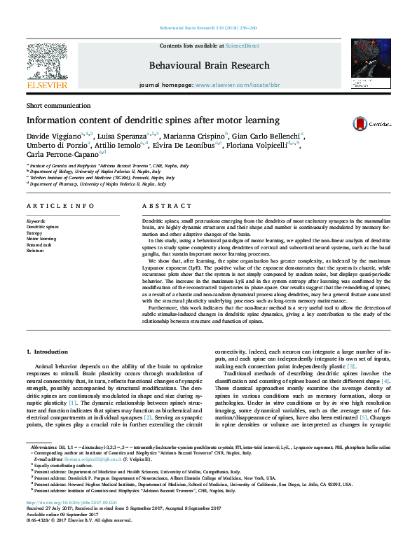 (PDF) Information content of dendritic spines after motor learning