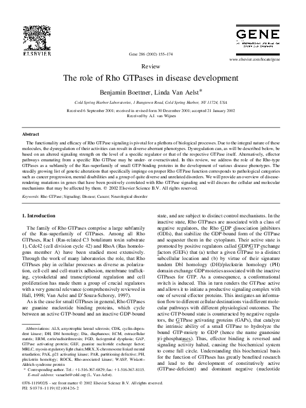 (PDF) The role of Rho GTPases in disease development