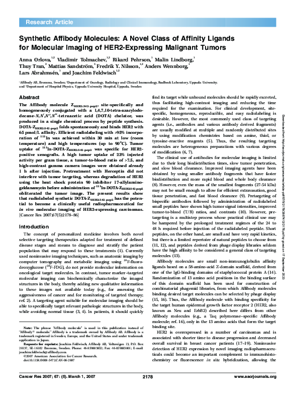 (PDF) Synthetic Affibody Molecules: A Novel Class of Affinity Ligands ...