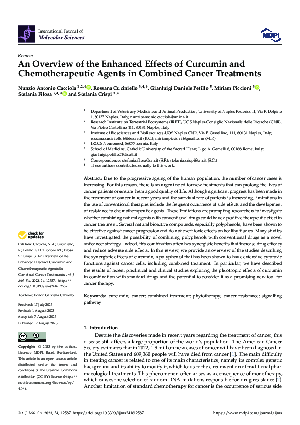(PDF) An Overview of the Enhanced Effects of Curcumin and ...