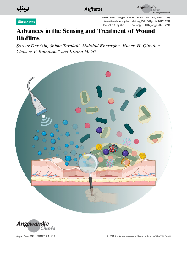 (PDF) Advances in the Sensing and Treatment of Wound Biofilms