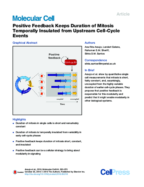 (PDF) Positive Feedback Keeps Duration of Mitosis Temporally Insulated ...