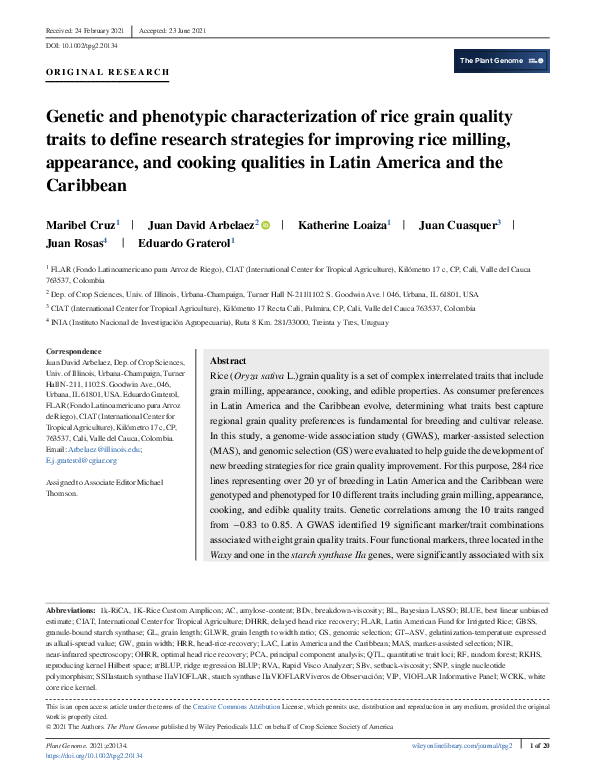 (PDF) Genetic and phenotypic characterization of rice grain quality ...
