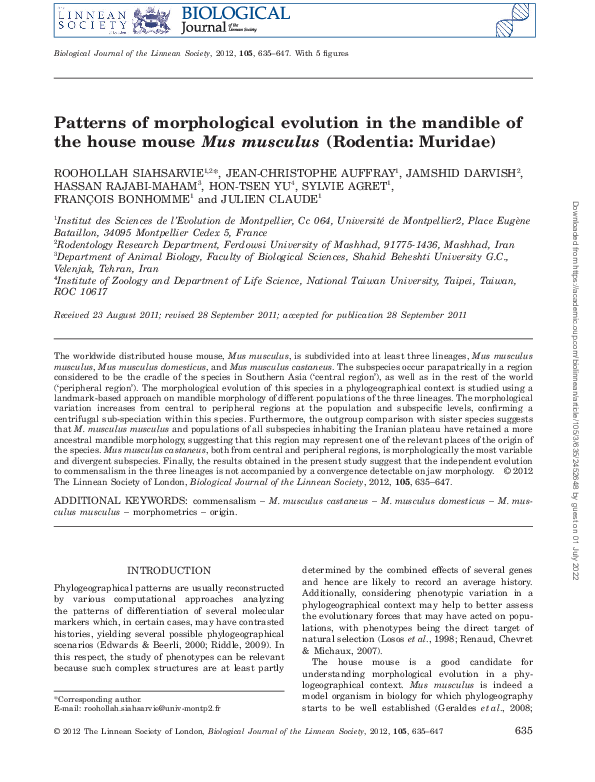 (PDF) Patterns of morphological evolution in the mandible of the house ...
