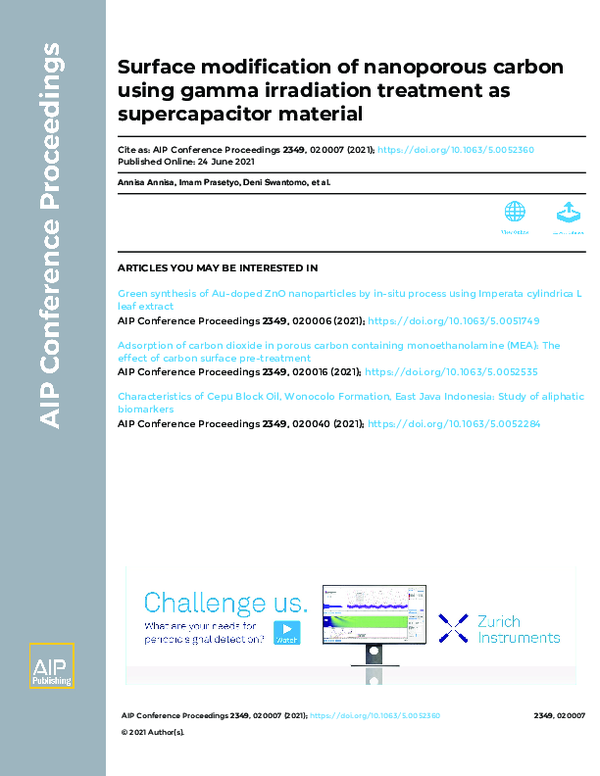 (PDF) Surface modification of nanoporous carbon using gamma irradiation ...