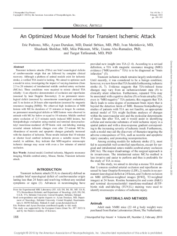 (PDF) An Optimized Mouse Model for Transient Ischemic Attack