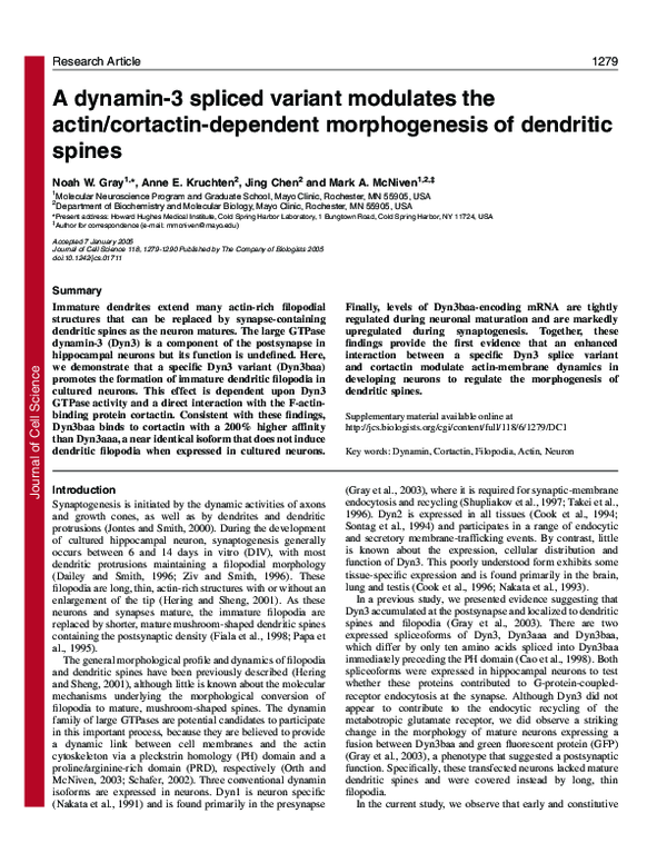 (PDF) A dynamin-3 spliced variant modulates the actin/cortactin ...