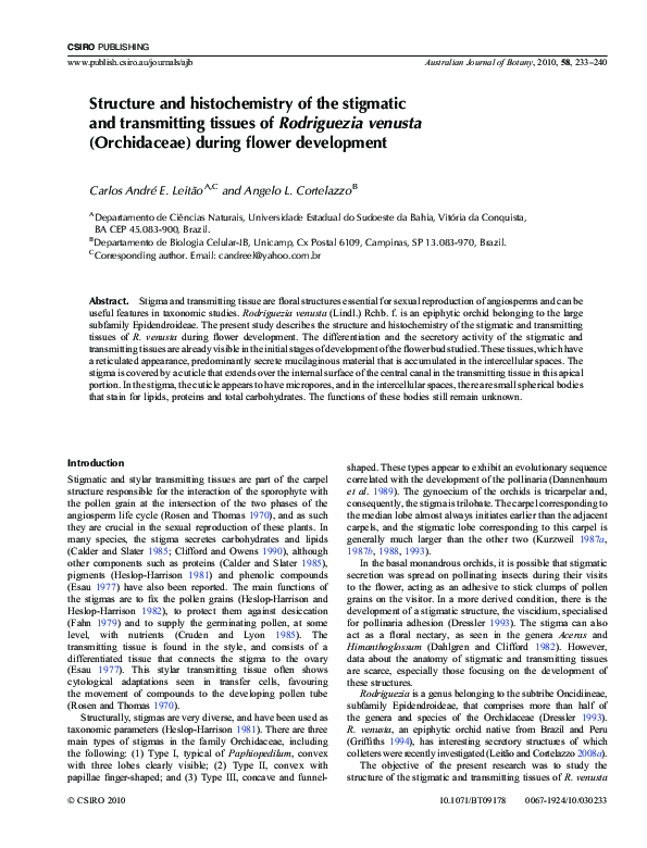(PDF) Structure and histochemistry of the stigmatic and transmitting ...