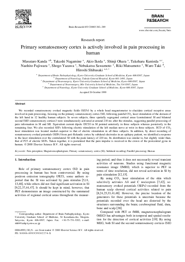 (PDF) Primary somatosensory cortex is actively involved in pain ...