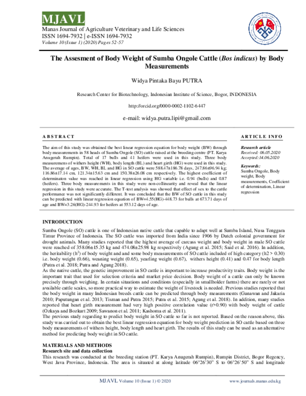 (PDF) The Assesment of Body Weight of Sumba Ongole Cattle (Bos indicus ...