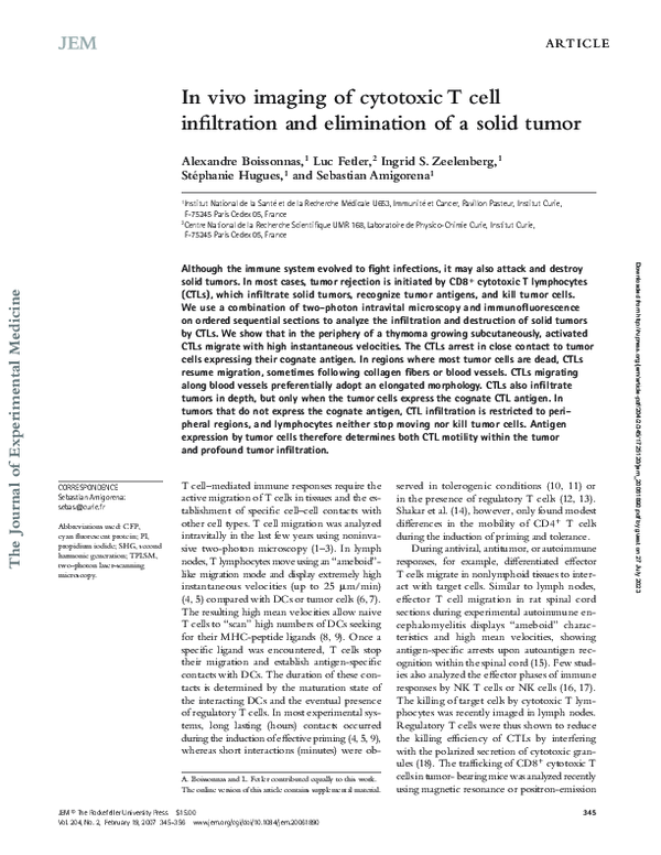 (PDF) In vivo imaging of cytotoxic T cell infiltration and elimination ...