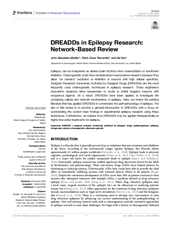 (PDF) DREADDs in Epilepsy Research: Network-Based Review
