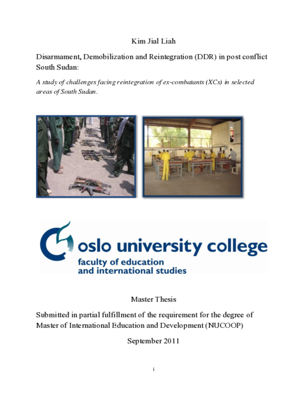 (PDF) Disarmament Demobilization and Reintegration in Post Conflict ...
