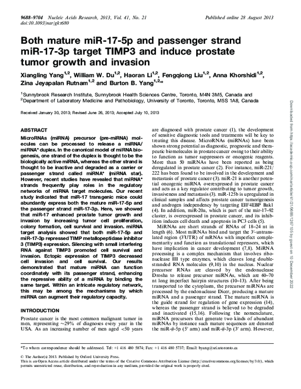(PDF) Both mature miR-17-5p and passenger strand miR-17-3p target TIMP3 ...