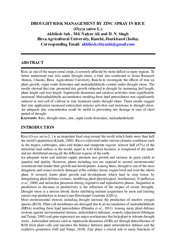 (PDF) DROUGHT RISK MANAGEMENT BY ZINC SPRAY IN RICE