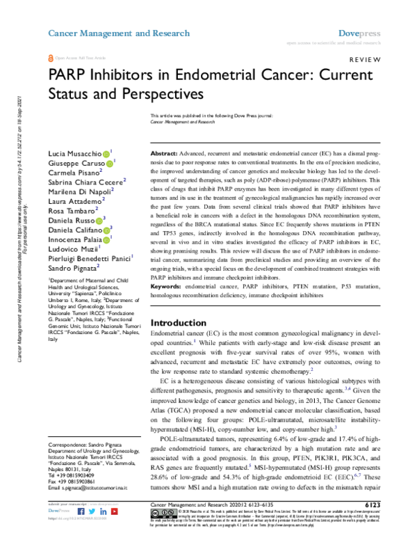 (PDF) PARP Inhibitors in Endometrial Cancer: Current Status and ...