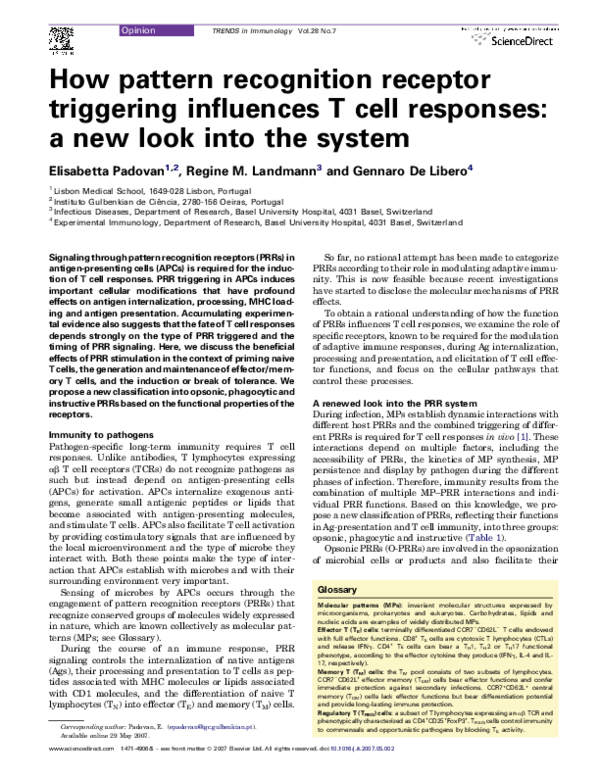 (PDF) How pattern recognition receptor triggering influences T cell ...