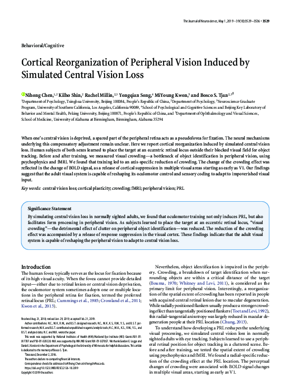 (PDF) Cortical reorganization of peripheral vision induced by simulated ...
