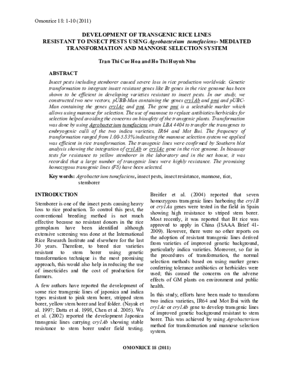 (PDF) DEVELOPMENT OF TRANSGENIC RICE LINES RESISTANT TO INSECT PESTS ...