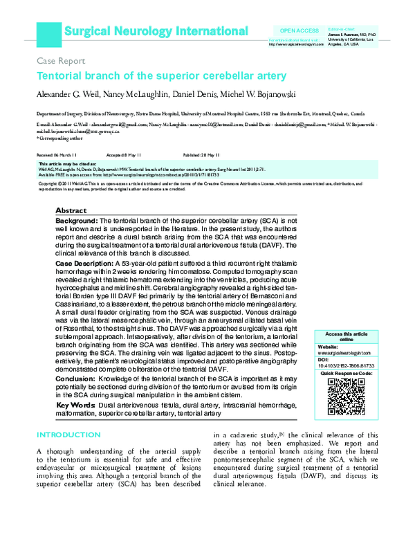 (PDF) Tentorial branch of the superior cerebellar artery
