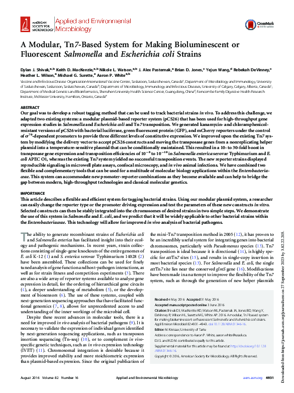 (PDF) A modular, Tn7-based system for making bioluminescent or ...
