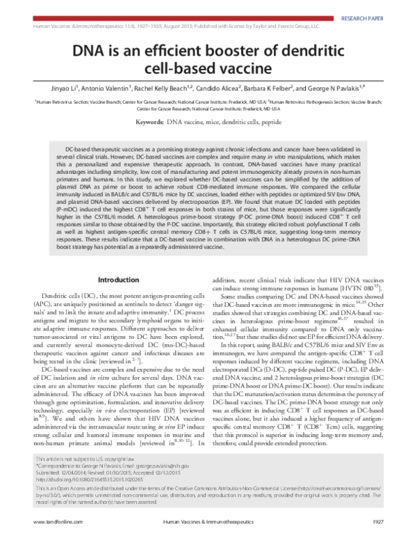 (PDF) DNA is an efficient booster of dendritic cell-based vaccine