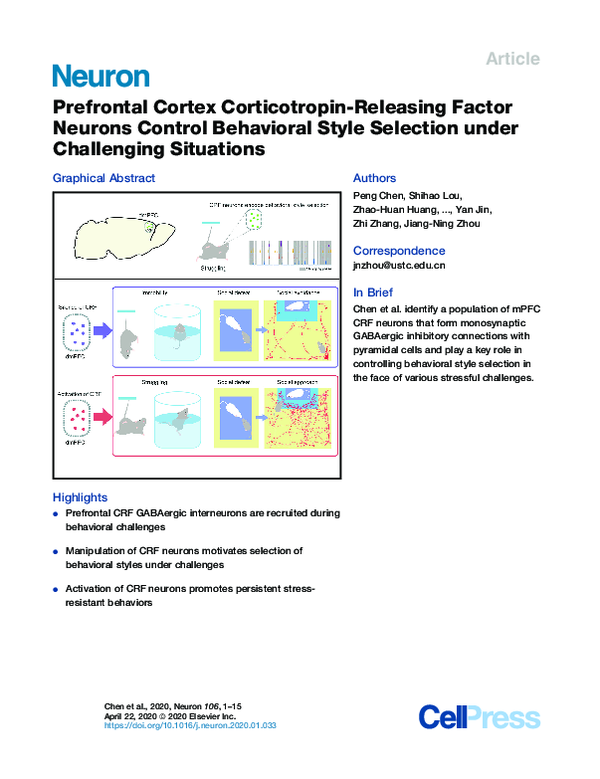 (PDF) Prefrontal Cortex Corticotropin-Releasing Factor Receptor 1 ...