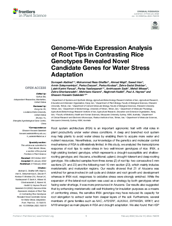 (PDF) Genome-Wide Expression Analysis of Root Tips in Contrasting Rice ...