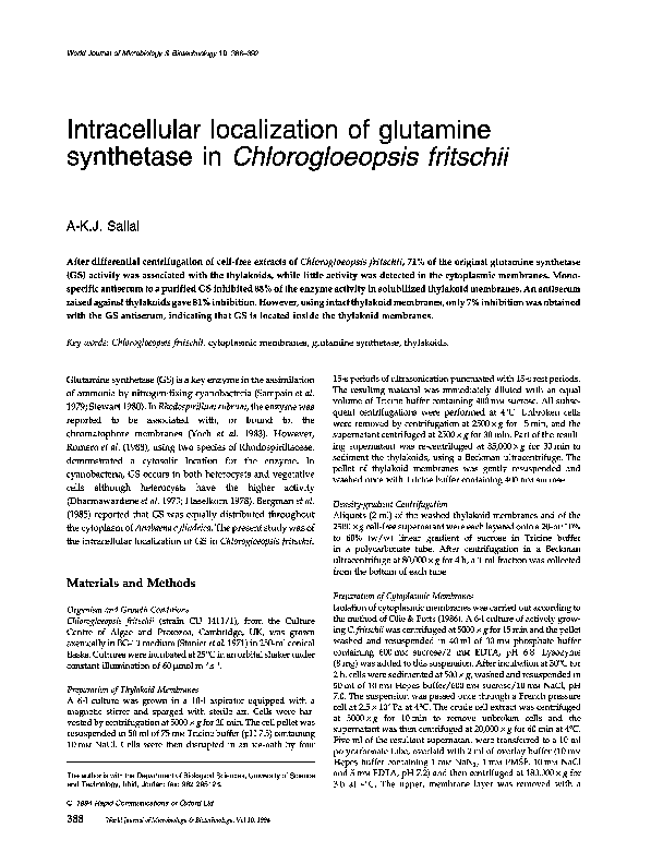 (PDF) Intracellular localization of glutamine synthetase in ...