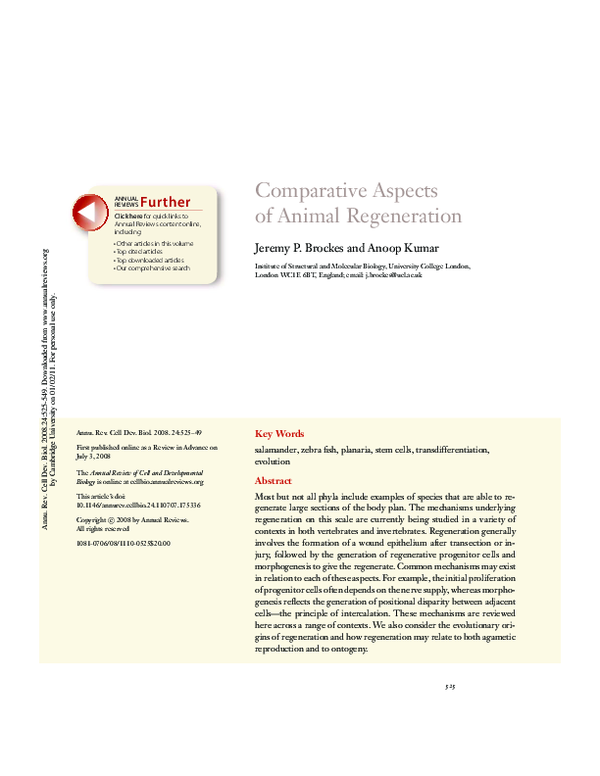(PDF) Comparative Aspects of Animal Regeneration