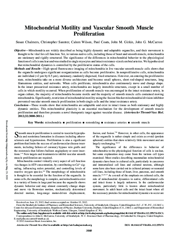 (PDF) Mitochondrial Motility and Vascular Smooth Muscle Proliferation