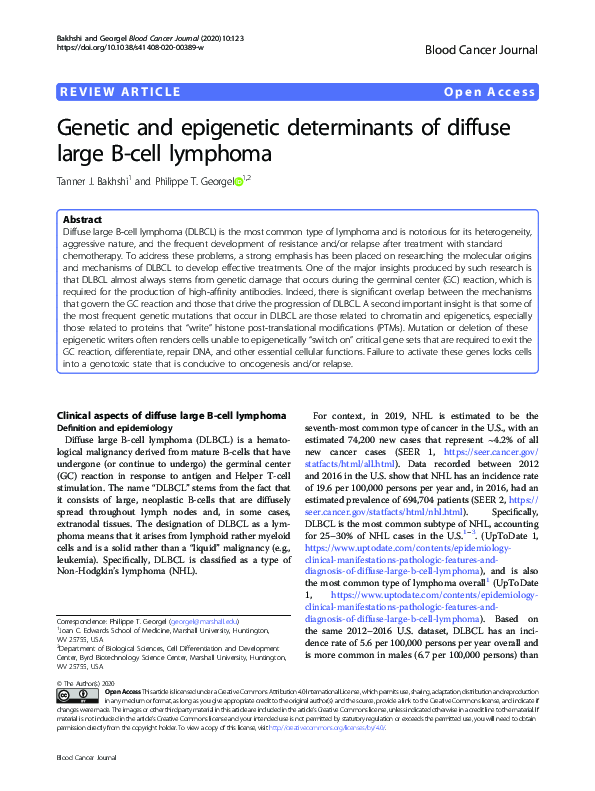 (PDF) Genetic and epigenetic determinants of diffuse large B-cell lymphoma