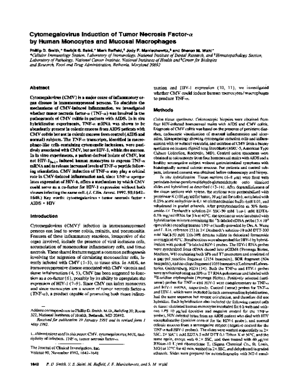 (PDF) Cytomegalovirus induction of tumor necrosis factor-alpha by human ...