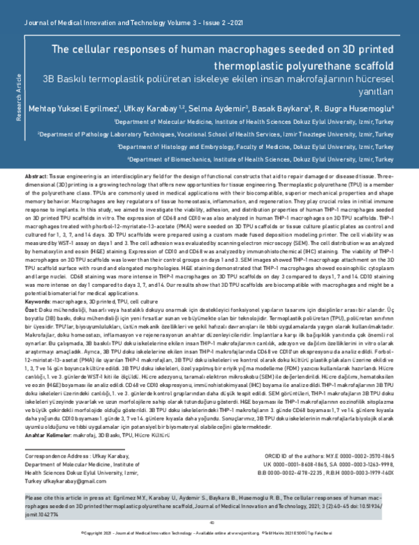 (PDF) The cellular responses of human macrophages seeded on 3D printed ...