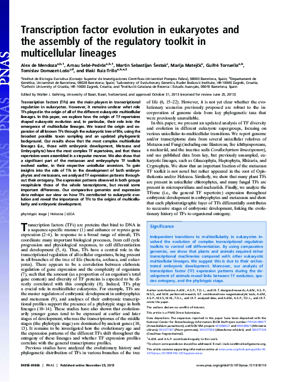 (PDF) Transcription factor evolution in eukaryotes and the assembly of ...