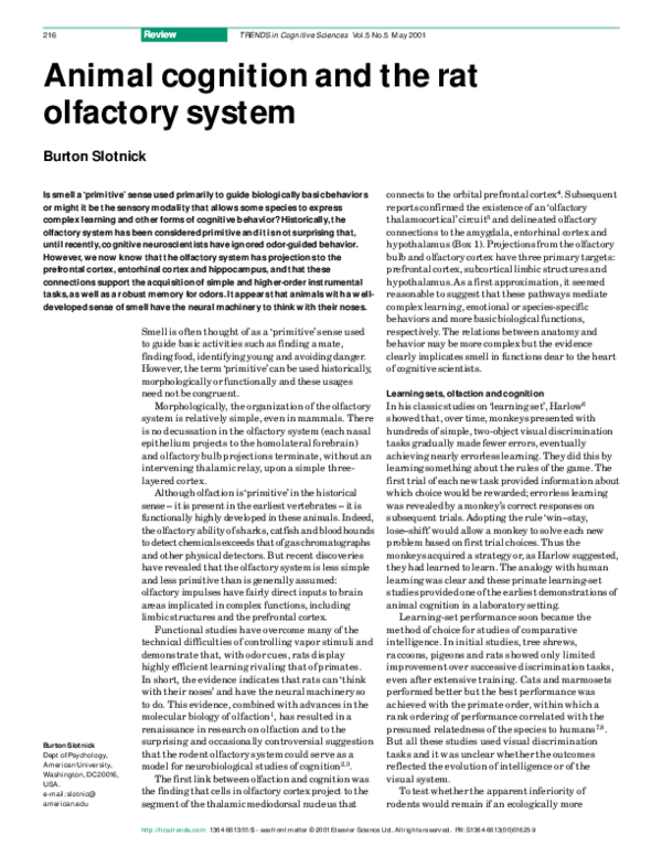 (PDF) Animal cognition and the rat olfactory system