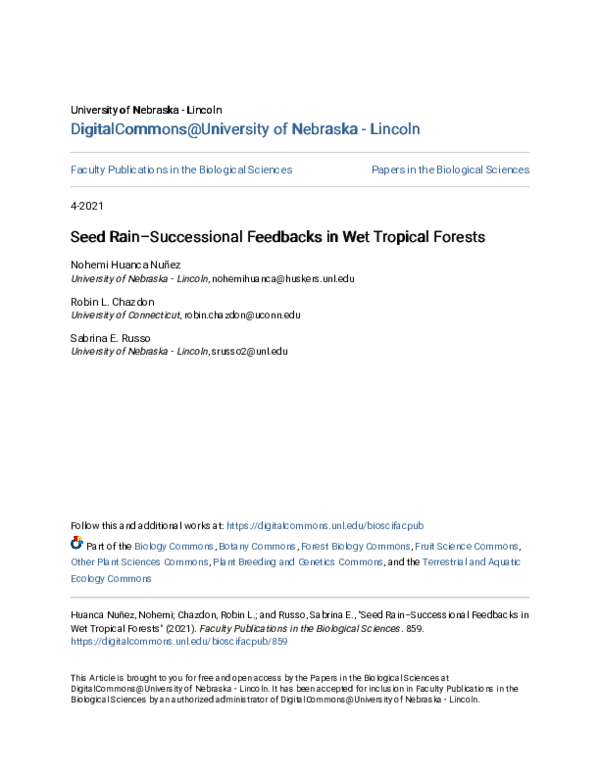 (PDF) Seed‐rain–successional feedbacks in wet tropical forests